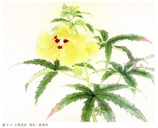 工笔花卉范例