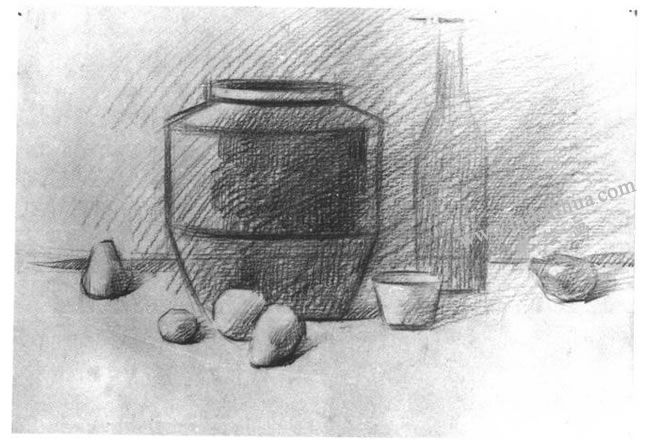 静物素描写生步骤：画大明暗