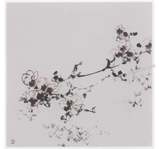 中国画《晴空展翅》画法步骤02