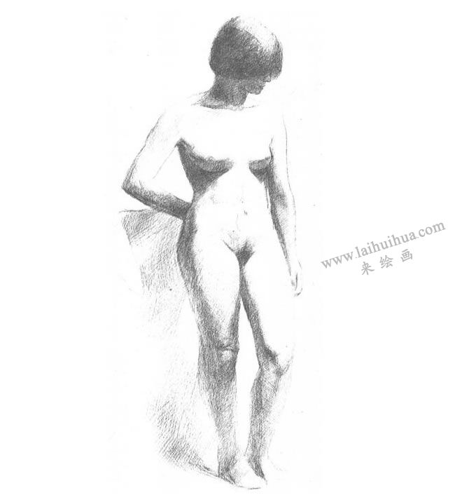 人体素描写生技法步骤04