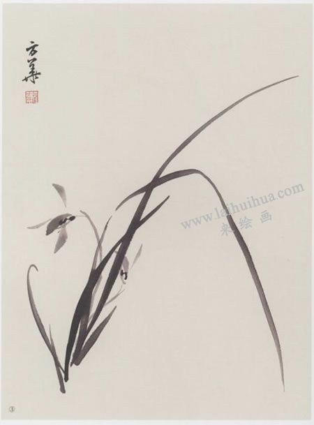 中国画兰花与兰叶组合画法步骤03