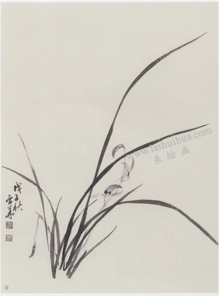 国画兰花的范画画法写生步骤04