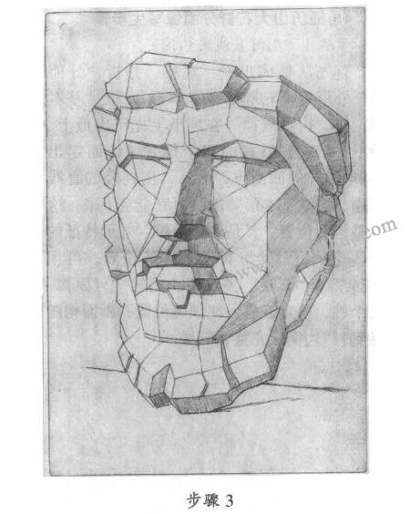 素描亚历山大石膏分面像写生步骤03