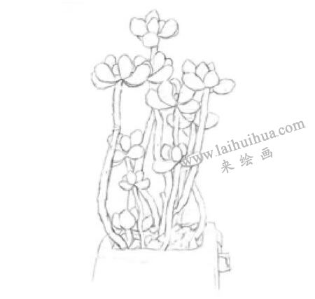 虹之玉素描画法步骤01