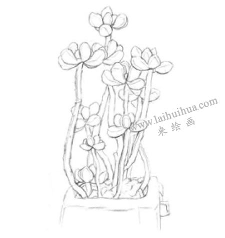 虹之玉素描画法步骤02