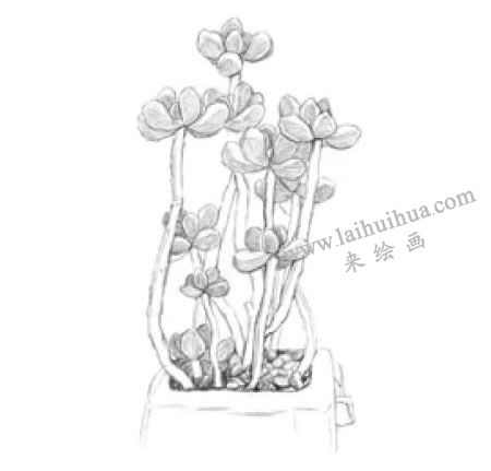 虹之玉素描画法步骤03