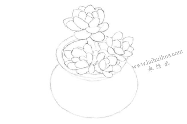 凝脂莲素描画法步骤01