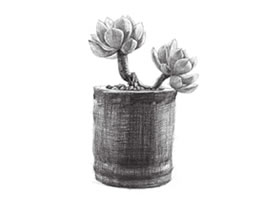 黄丽素描画法步骤