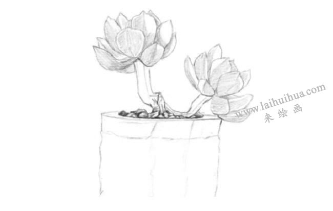黄丽素描画法步骤02