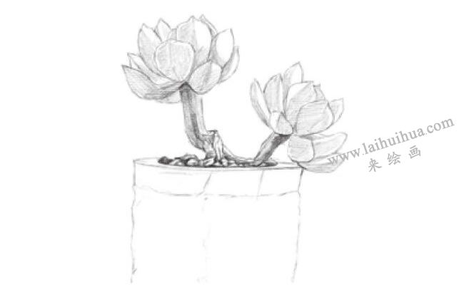 黄丽素描画法步骤03
