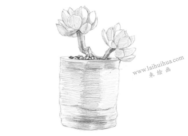 黄丽素描画法步骤04