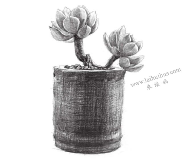 黄丽素描画法步骤06