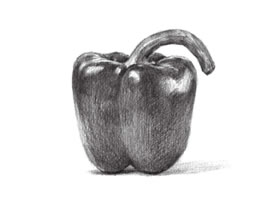 辣椒素描画法