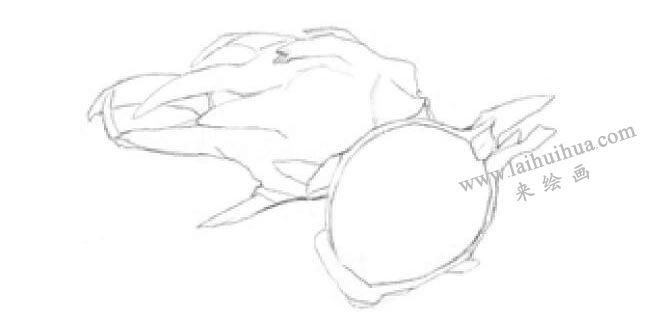 火龙果素描画法步骤01