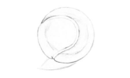 网球素描画法步骤01