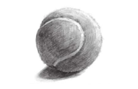网球素描画法步骤04