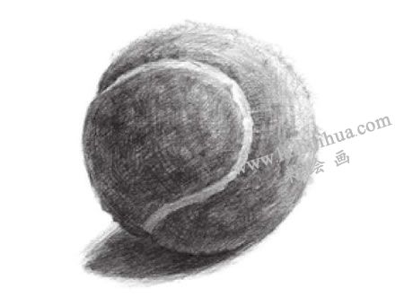 网球素描画法步骤05