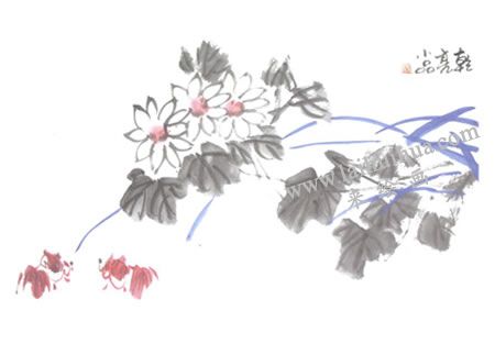红金鱼国画画法步骤05