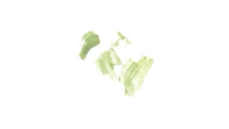 鳜鱼国画画法步骤01