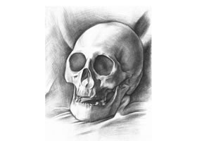 石膏头骨素描画法