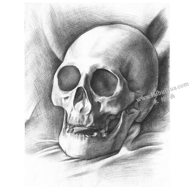 石膏头骨素描画法步骤05