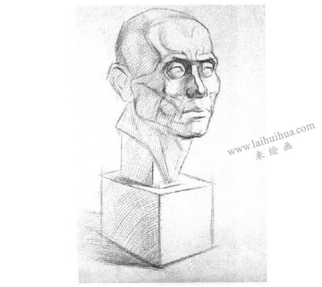 石膏肌肉头像素描画法步骤03