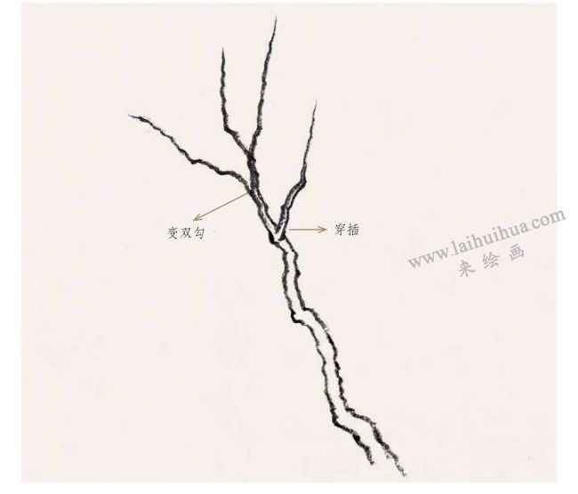 国画画树起手法步骤04