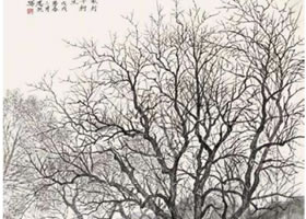 国画柿子树写生方法