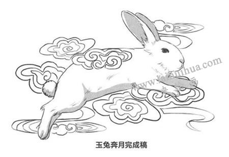 玉兔奔月卡通素描画法绘制步骤04