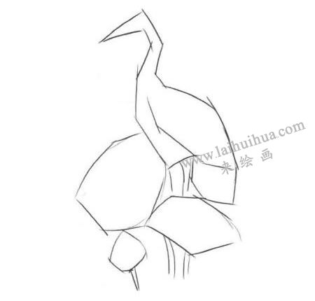 荷中鹤卡通素描画法步骤01