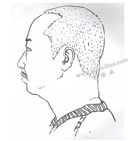 人物头像侧面线描写生画法步骤05