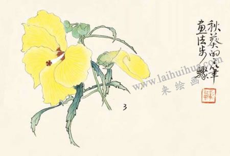 秋葵的工笔画法步骤03