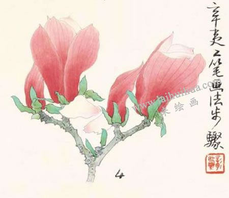 辛夷的工笔画法步骤04