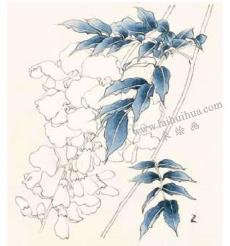 紫藤的工笔画法步骤02