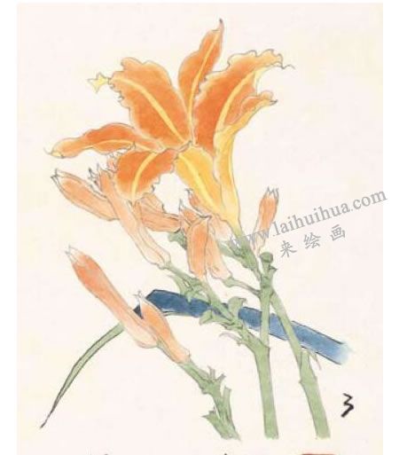 萱花的工笔画法步骤图示03