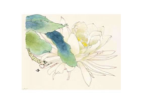 昙花的工笔画法步骤