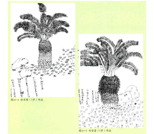 铁树线描画法步骤教学过程