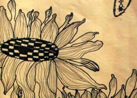 向日葵线描画法步骤教学