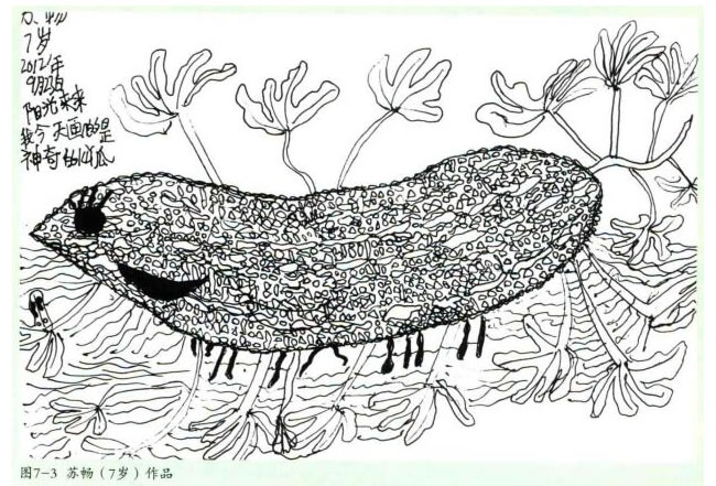 苦瓜线描画法步骤教学过程