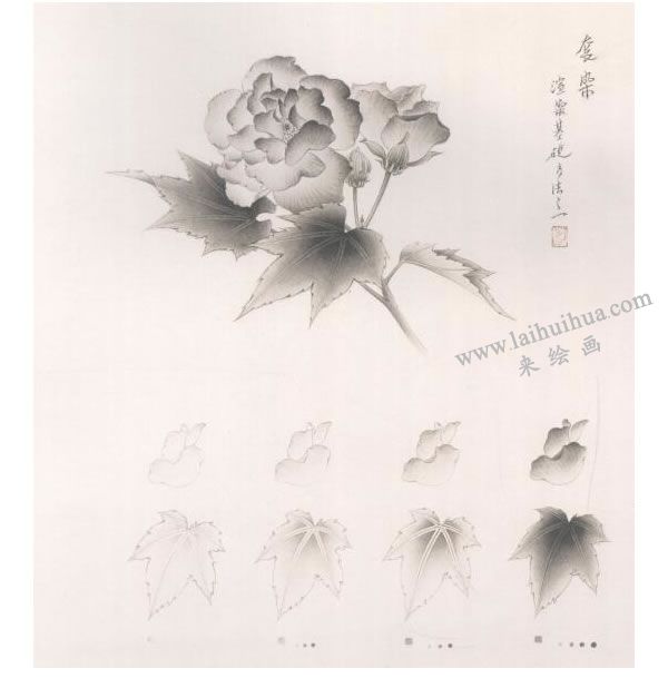 芙蓉工笔画