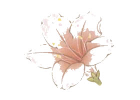 工笔画先染后罩技法（杜鹃）范例