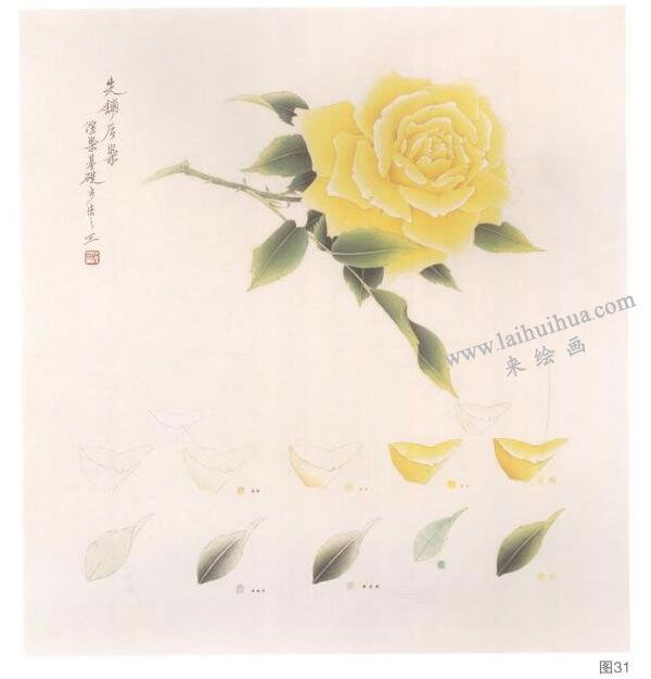 黄月季工笔画