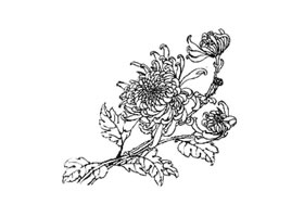传统线描介绍