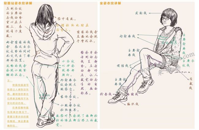 人物速写背面站姿衣纹、、坐姿衣纹讲解图示
