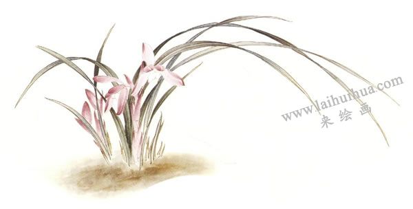 俞致贞《兰花》工笔画技法步骤04