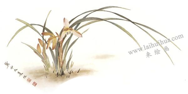 俞致贞《兰花》工笔画技法步骤05