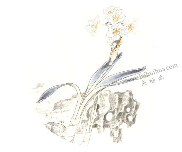 俞致贞《水仙》工笔画技法步骤04