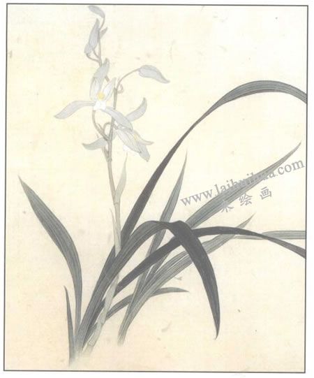 工笔花卉：兰花的工笔画法步骤03
