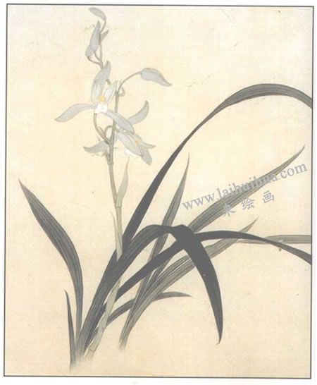 工笔花卉：兰花的工笔画法步骤04