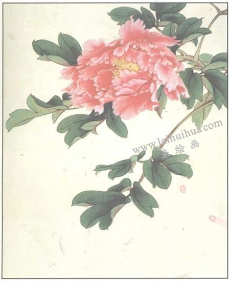 粉红牡丹的工笔画法步骤03
